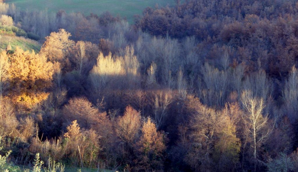 Colori autunno-invernali